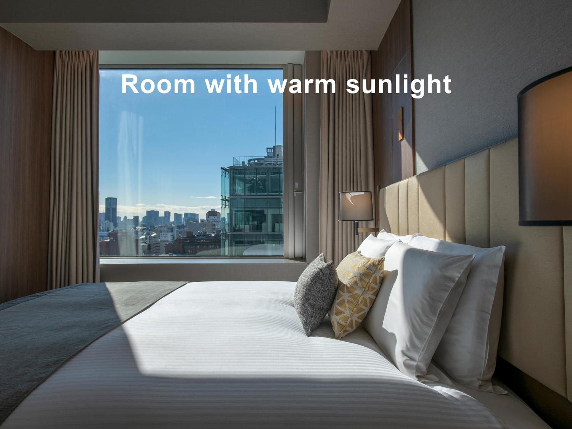 Mitsui Garden Hotel Roppongi Tokyo Premier Kültér fotó Room with warm sunlight